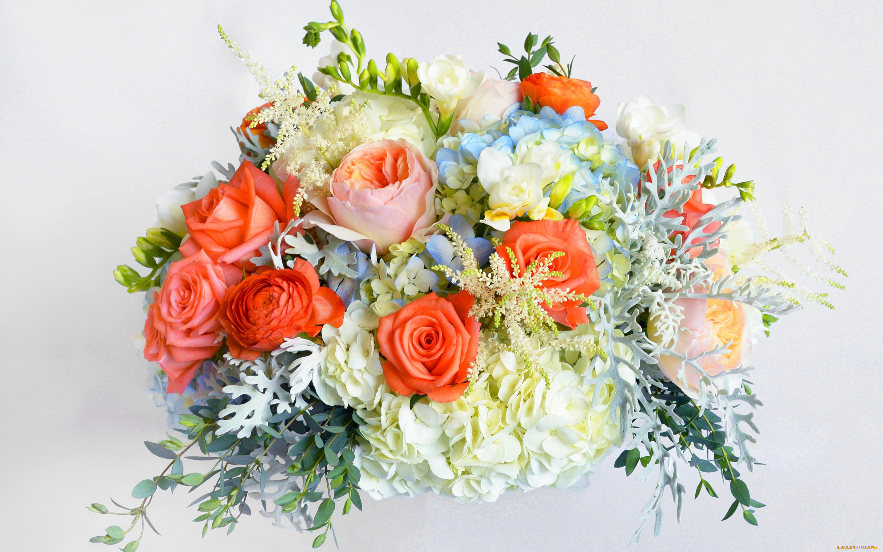, ,  , , , , , freesia, hydrangea, flowers, bouquet, rose